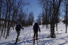 Ski-Offpiste-106