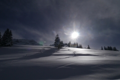Ski-Offpiste-111