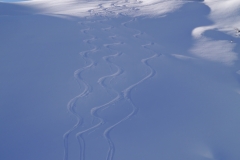 Ski-Offpiste-123