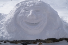 Ski-Offpiste-137