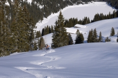 Ski-Offpiste-38