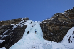 Patri-4